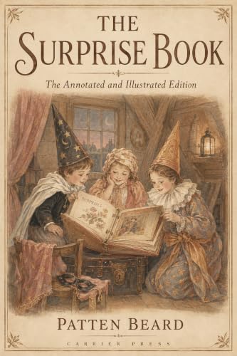 Cover of The Surprise Book