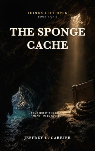 Cover of The Sponge Cache